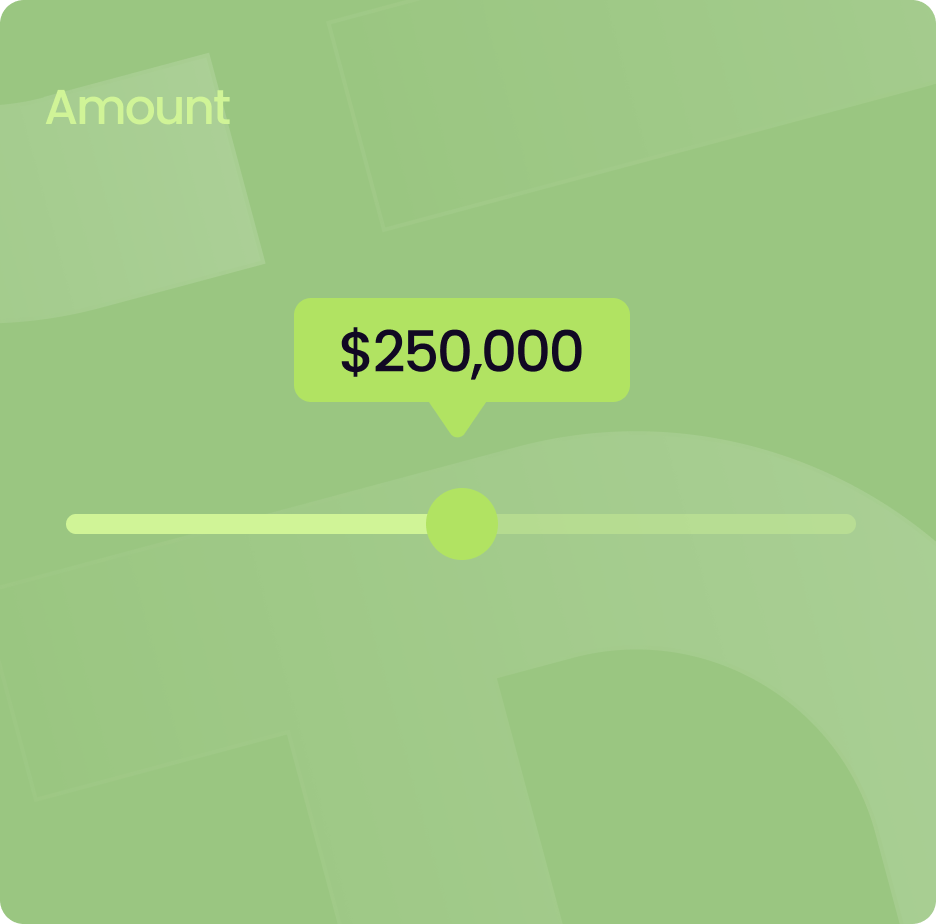 Graphic of a green slider with a tooltip in the middle saying $250,00